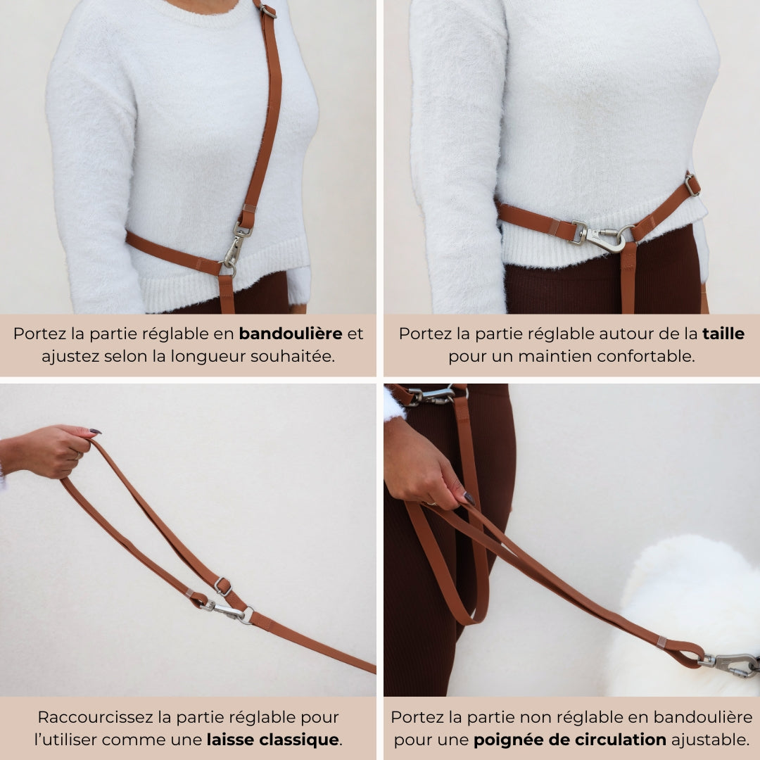 Laisse pour chien mains libres convertible 4-en-1