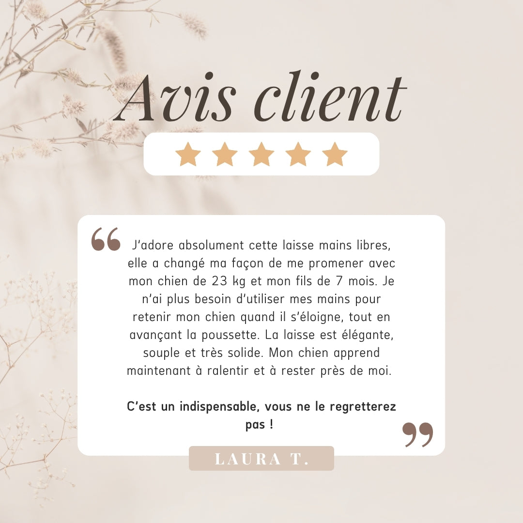 Laisse pour chien mains libres convertible 4-en-1