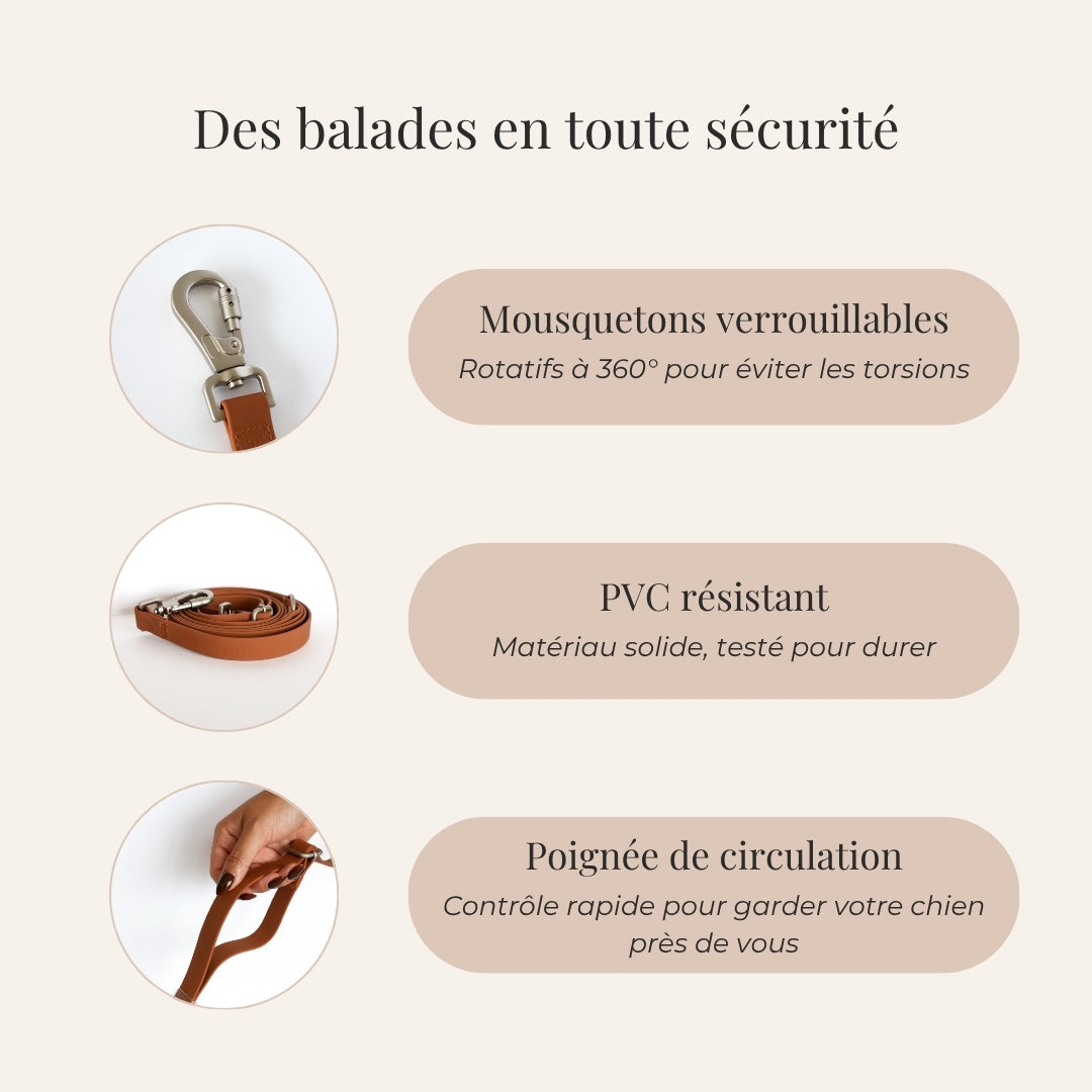 Laisse pour chien mains libres convertible 4-en-1