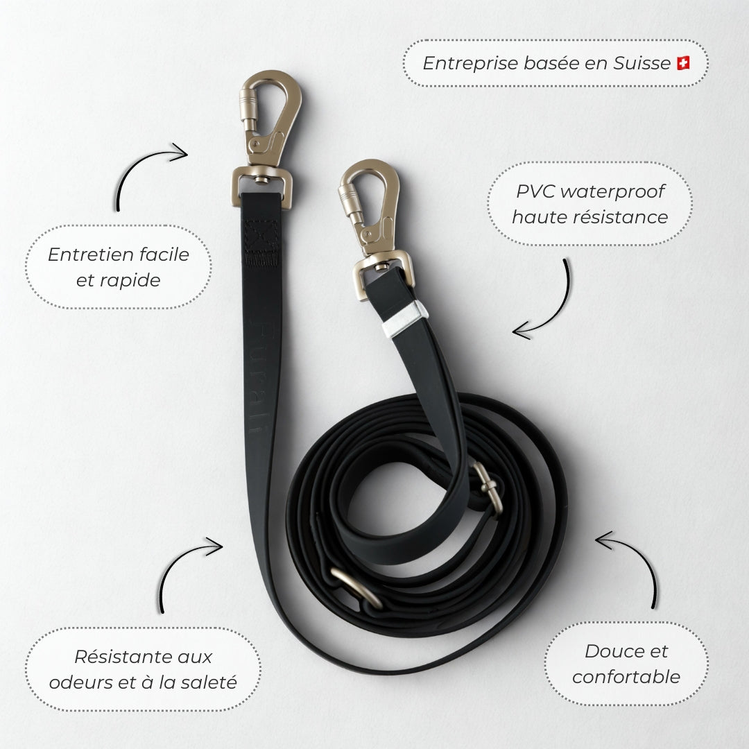 Laisse pour chien mains libres convertible 4-en-1