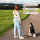 Laisse pour chien mains libres convertible 4-en-1