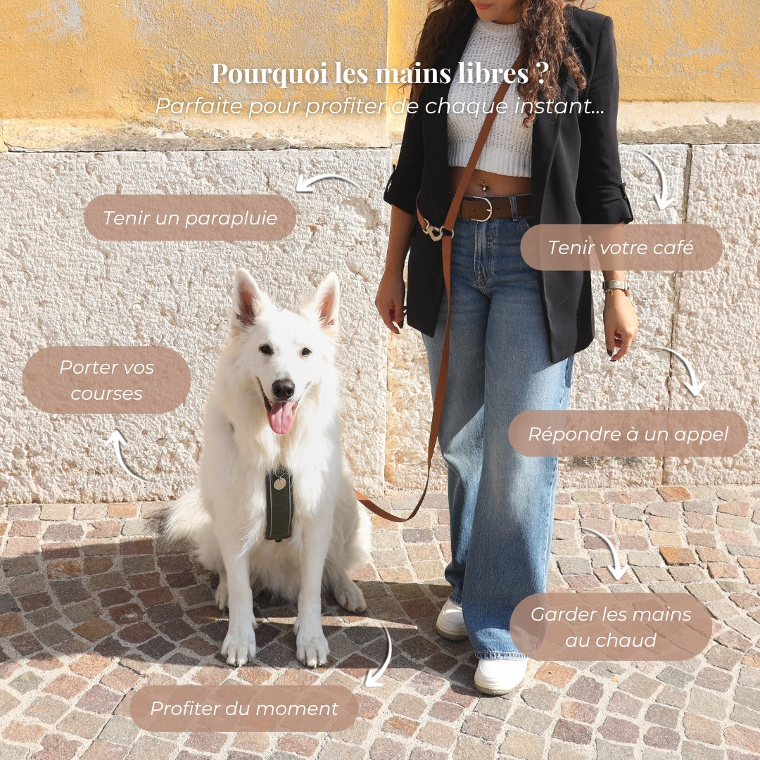 Laisse pour chien mains libres convertible 4-en-1