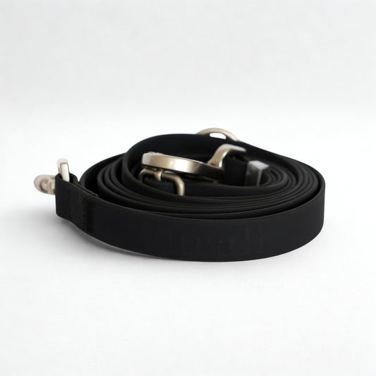 Laisse pour chien mains libres convertible 4-en-1